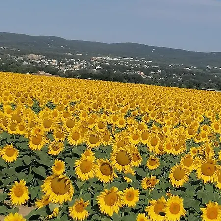 Charmante Maison Avec Terrasse Aux Portes De L'ardeche Vila