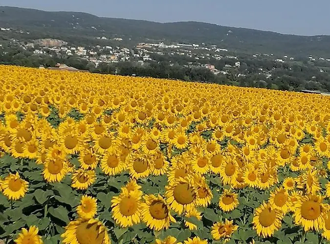 Charmante Maison Avec Terrasse Aux Portes De L'ardeche 빌라